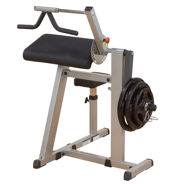 Body Solid Biceps & Triceps Machine GCBT380